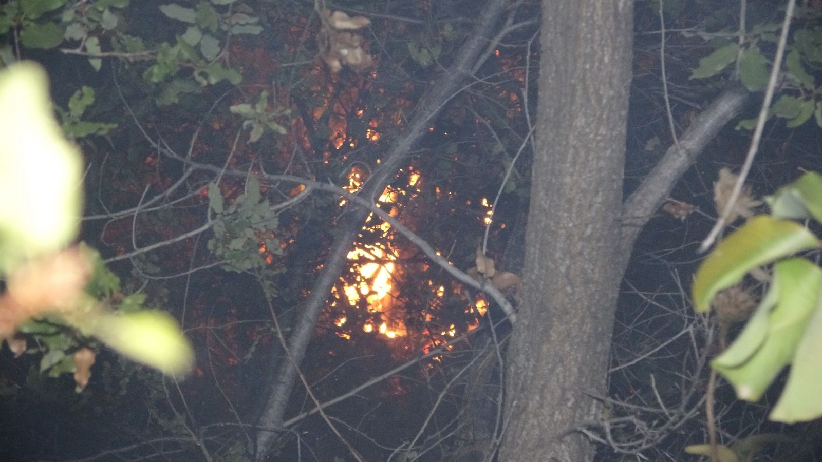 Alanya’da çalılık alanda yangın paniği